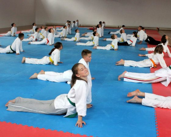 Letnia Akademia Aikido – Krasnobród 2015