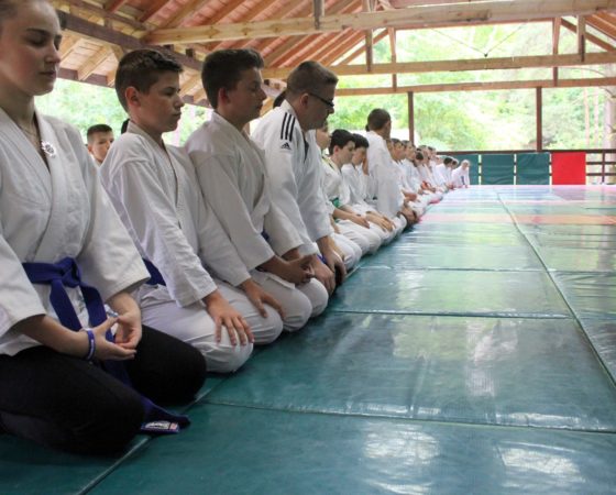 Letnia Akademia Aikido – Jakubowo 2017